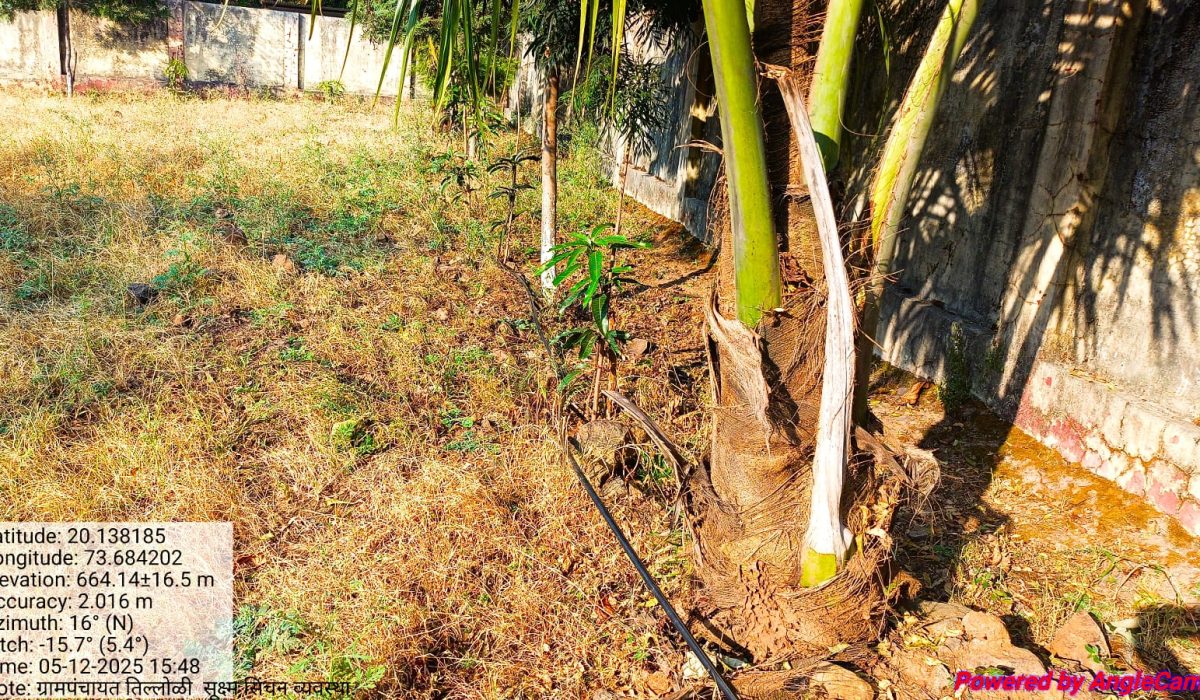 whatsapp image 2025 12 28 at 12.26.58 pm (1)